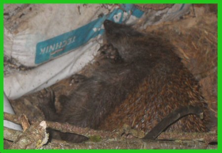 VLUU L310W L313 M310W / Samsung L310W L313 M310W