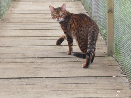 VLUU L310W L313 M310W / Samsung L310W L313 M310W