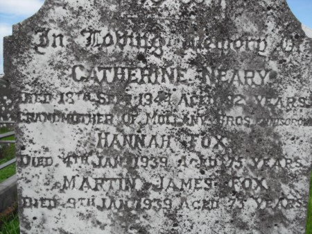 VLUU L310W L313 M310W / Samsung L310W L313 M310W