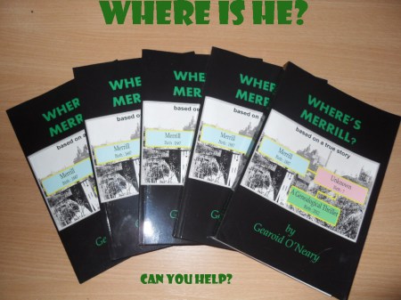 VLUU L310W L313 M310W / Samsung L310W L313 M310W