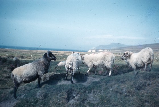 ???????????????????????