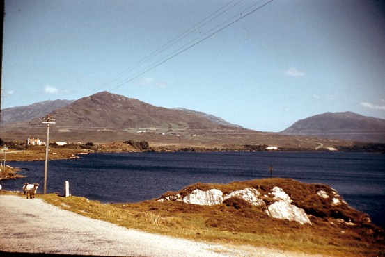 ???????????????????????