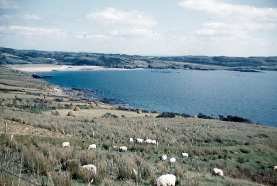 ??????????????????????????