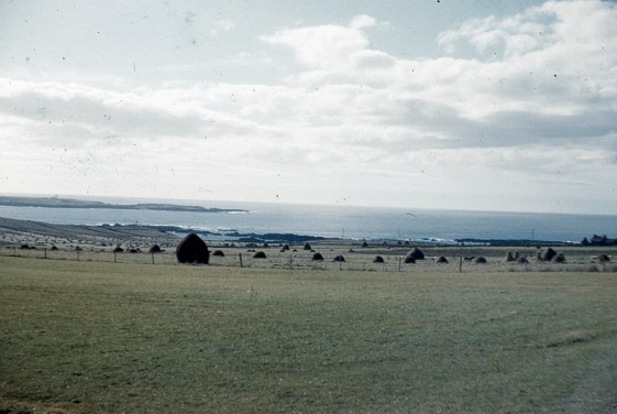 ???????????????????????